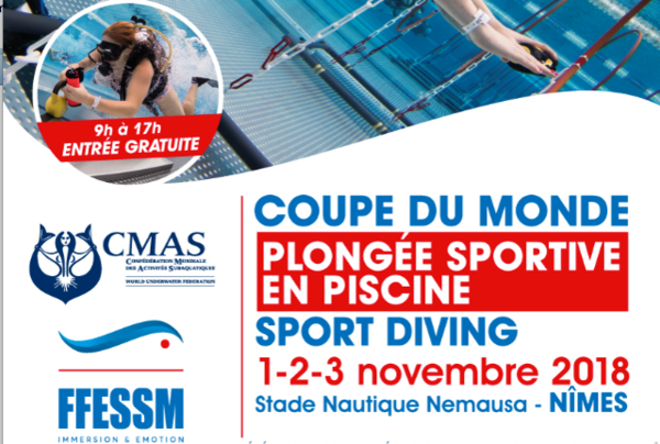 Championnat du Monde PSP 