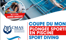 Championnat du Monde PSP 