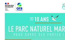 Fête Parc Naturel Marin des Estuaires Picards et de la Mer d'Opale 16 septembre