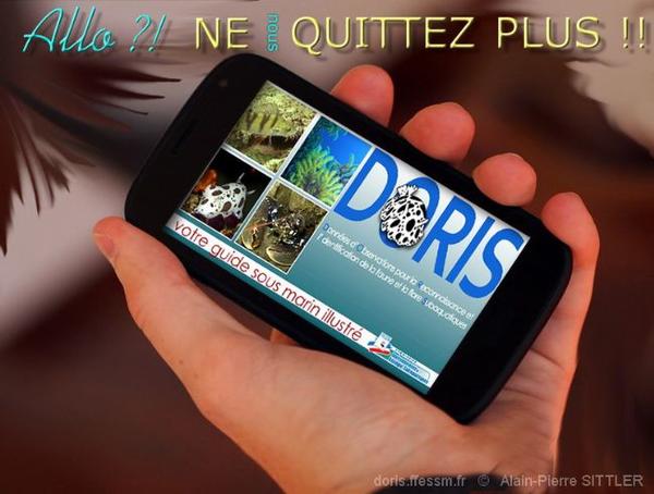 L'application DORIS sous Android est là !