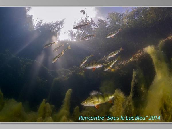 Sous le Lac Bleu